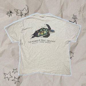 Kailua Kona, Hawaii Turtle Graphic Tee Grey - Size XL
